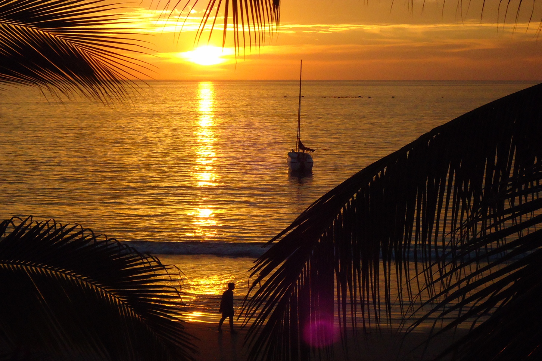 Sunset Cruise & Boat Tours