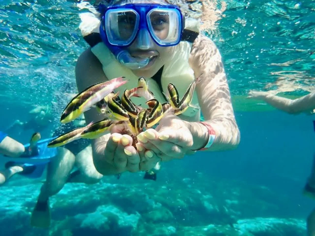 Snorkeling
