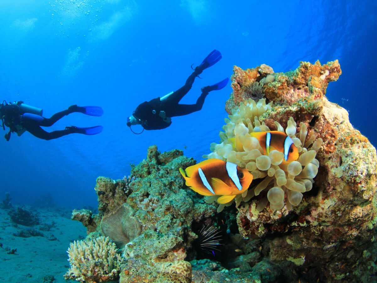 Scuba Diving